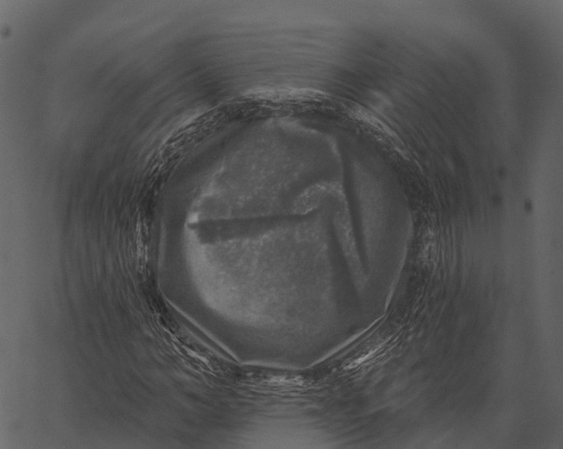 X0000062640966200601111121