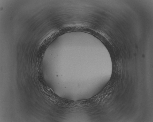 X0000062640967200601111121