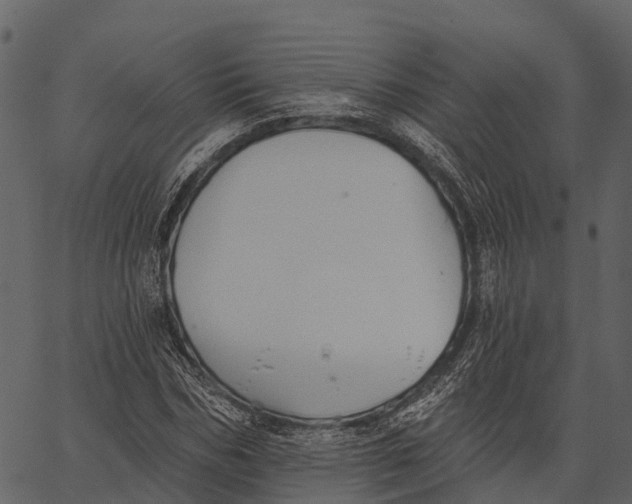 X0000062640970200601111121