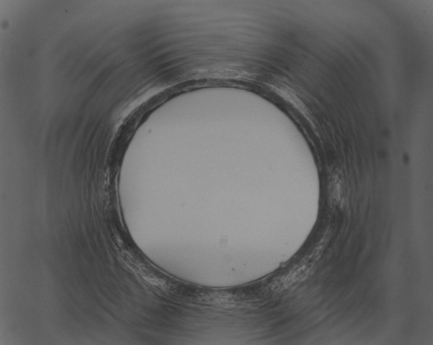 X0000062640971200601111121