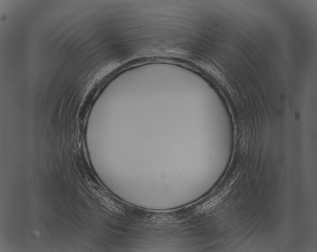 X0000062640974200601111121