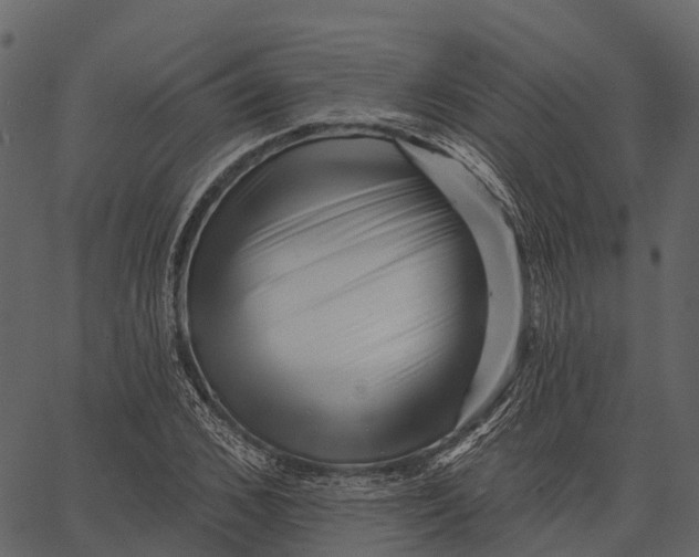 X0000062640976200601111121