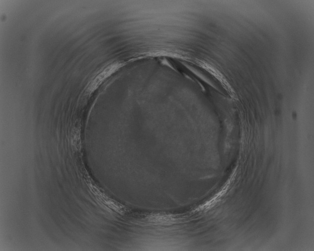 X0000062640977200601111121