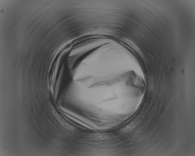 X0000062640980200601111121