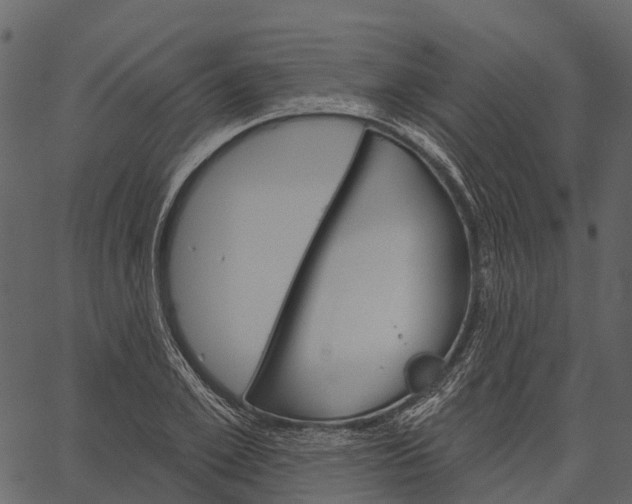 X0000062640981200601111121