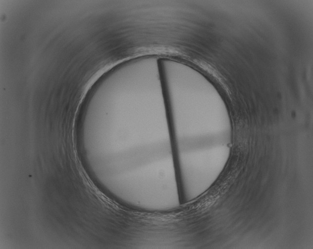 X0000062640983200601111121