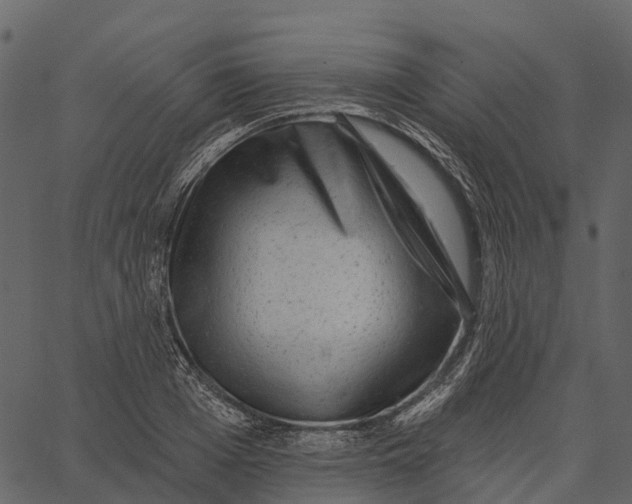 X0000062640985200601111121