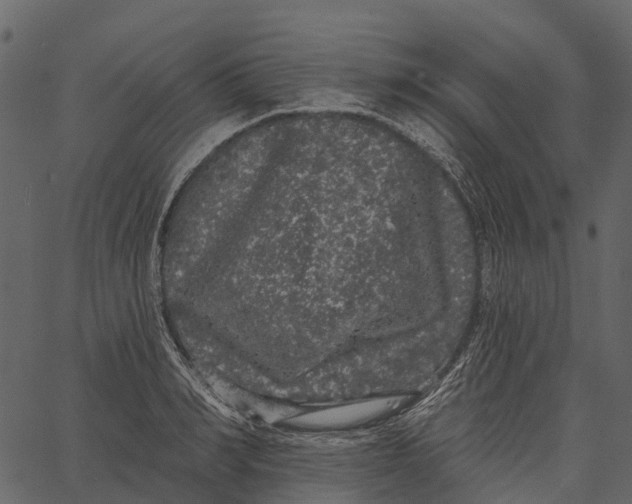 X0000062640990200601111121