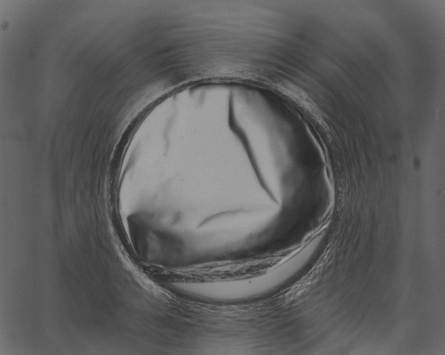 X0000062640991200601111121