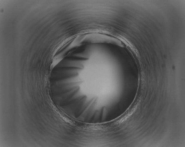 X0000062640993200601111121