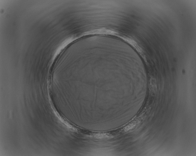 X0000062640998200601111121