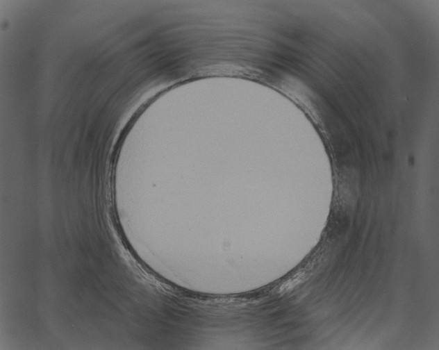 X0000062641000200601111121