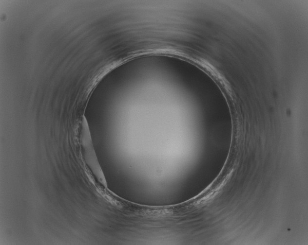 X0000062641001200601111121