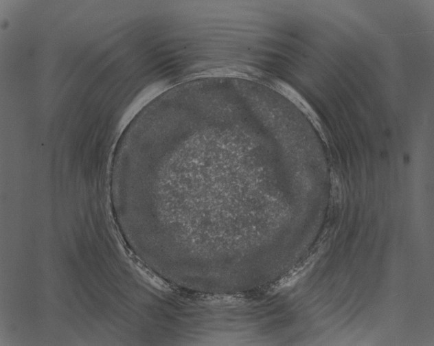 X0000062641002200601111121