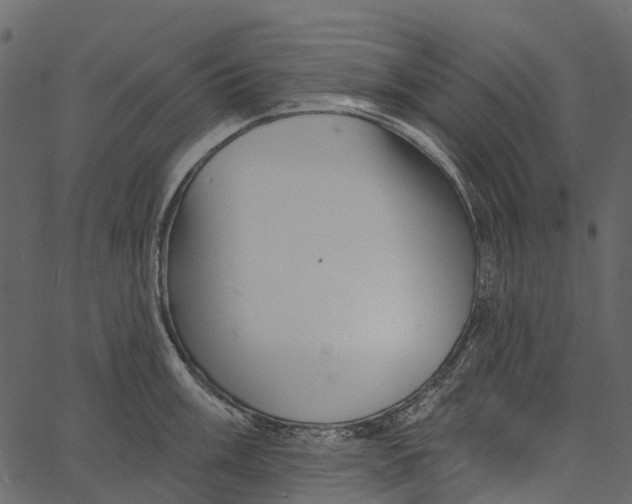 X0000062641003200601111121