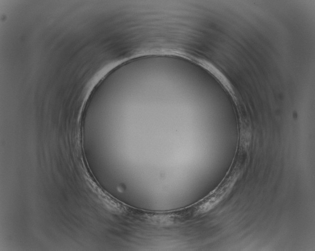 X0000062641004200601111121