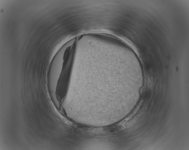 X0000062641006200601111121