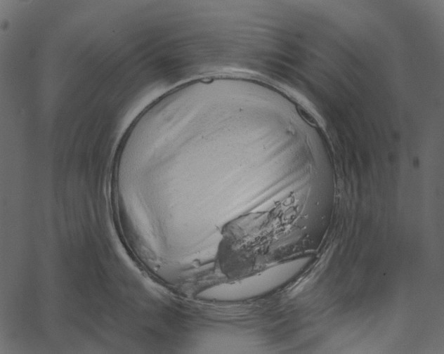 X0000062641007200601111121