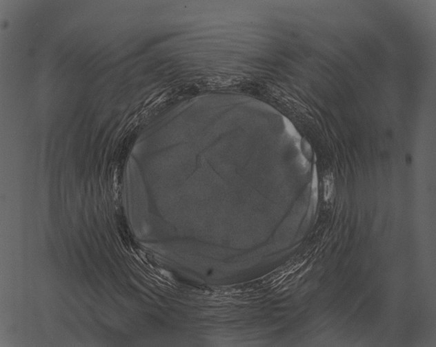 X0000062641011200601111120