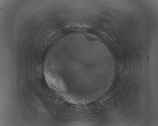 X0000062641013200601111120