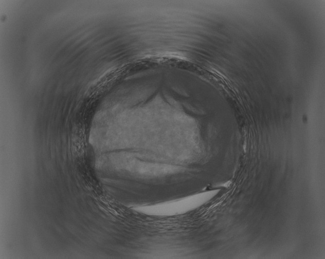 X0000062641014200601111120