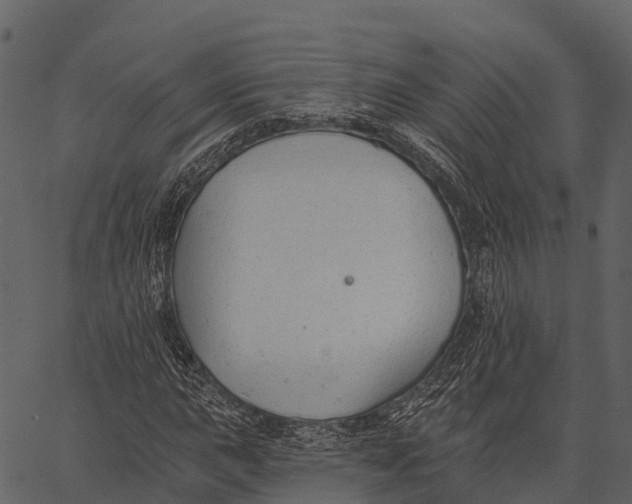 X0000062641015200601111120