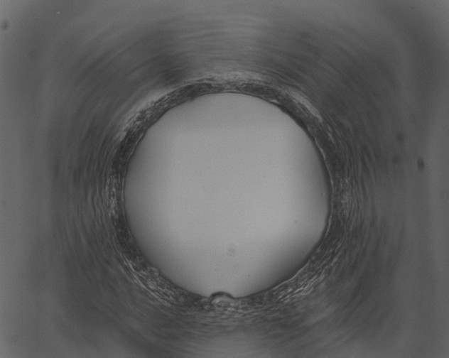 X0000062641016200601111120