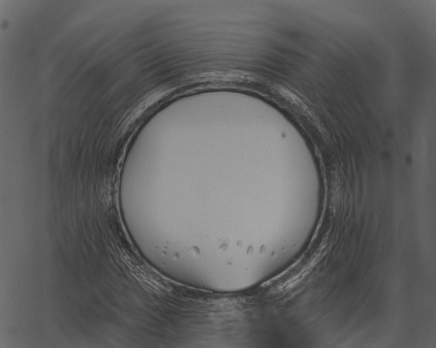 X0000062641017200601111120