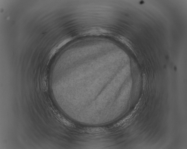 X0000062641018200601111120