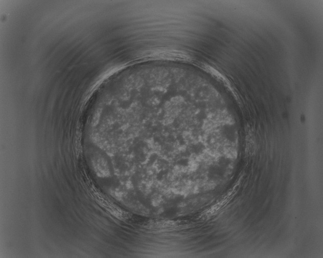 X0000062641019200601111120