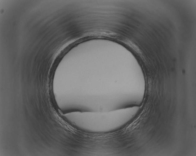 X0000062641020200601111120