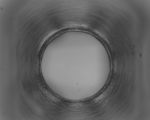 X0000062641021200601111120