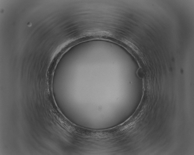 X0000062641022200601111120