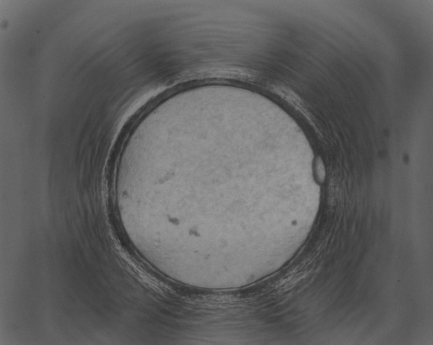 X0000062641024200601111120