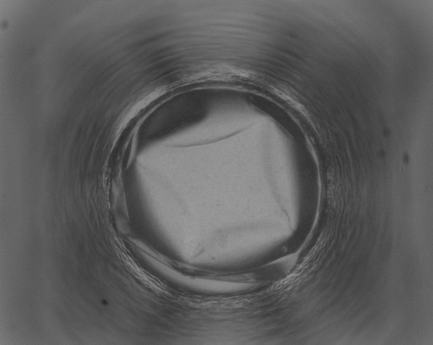 X0000062641026200601111120