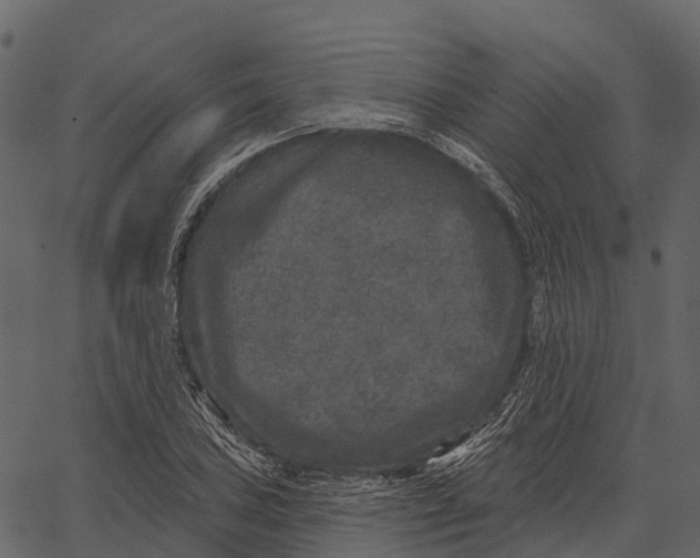 X0000062641027200601111120