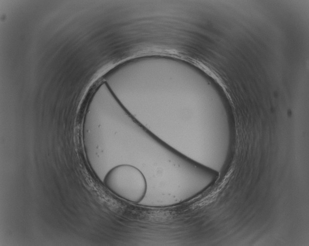 X0000062641029200601111120