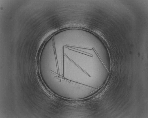 X0000062641030200601111120