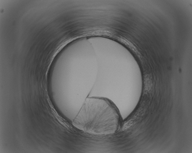 X0000062641031200601111120