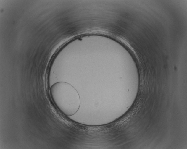 X0000062641032200601111120