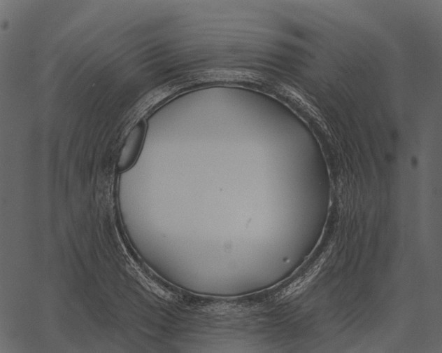 X0000062641033200601111120