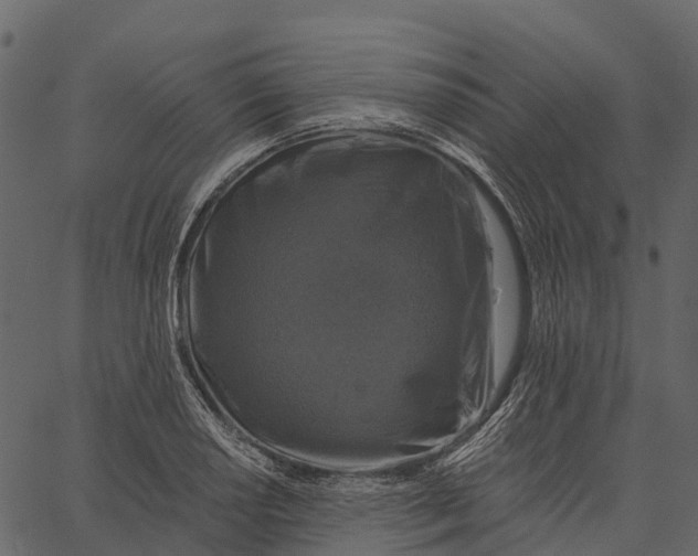 X0000062641034200601111120