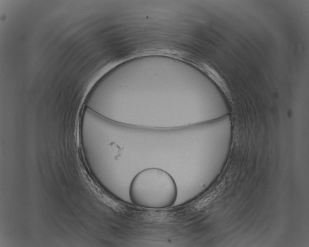 X0000062641036200601111120