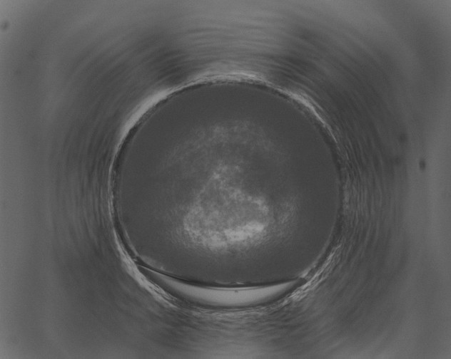 X0000062641038200601111120