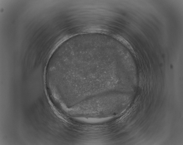 X0000062641039200601111120