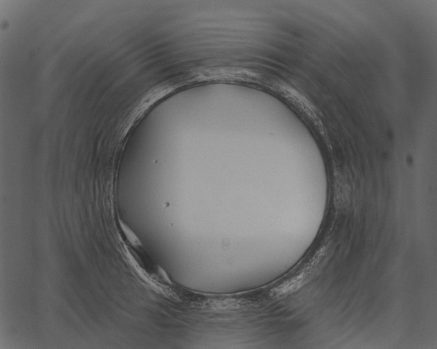 X0000062641041200601111120