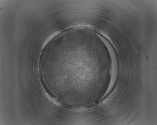 X0000062641042200601111120