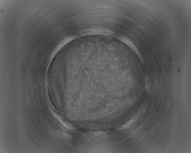 X0000062641043200601111120