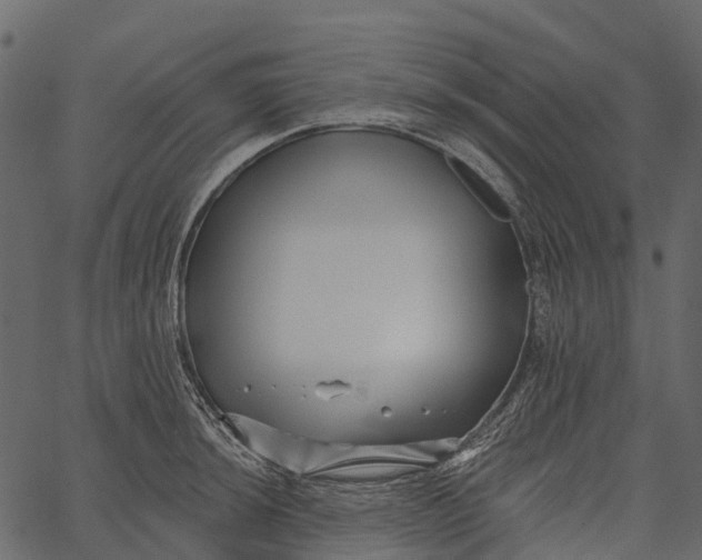 X0000062641044200601111120