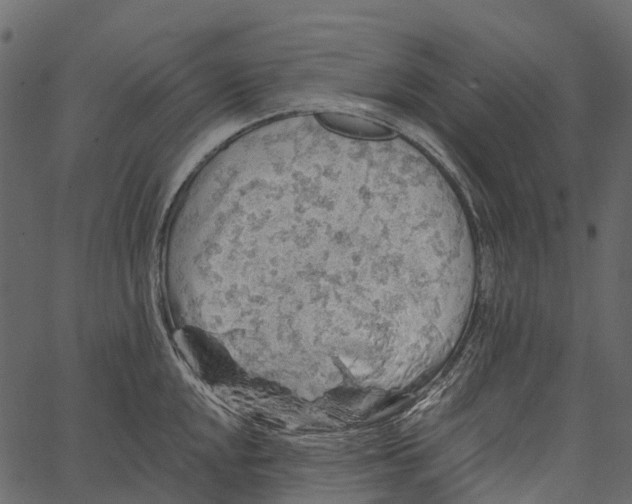 X0000062641048200601111121